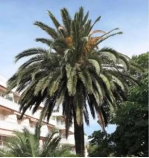 Eden Apartment Saint-Tropez Bilik gambar